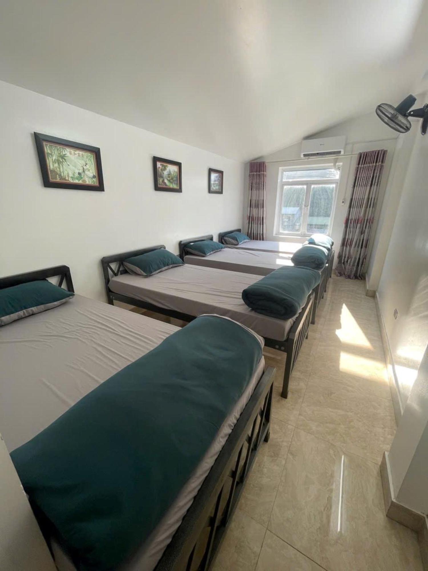 Voi Meo Vac Hostel & Breakfast Dış mekan fotoğraf