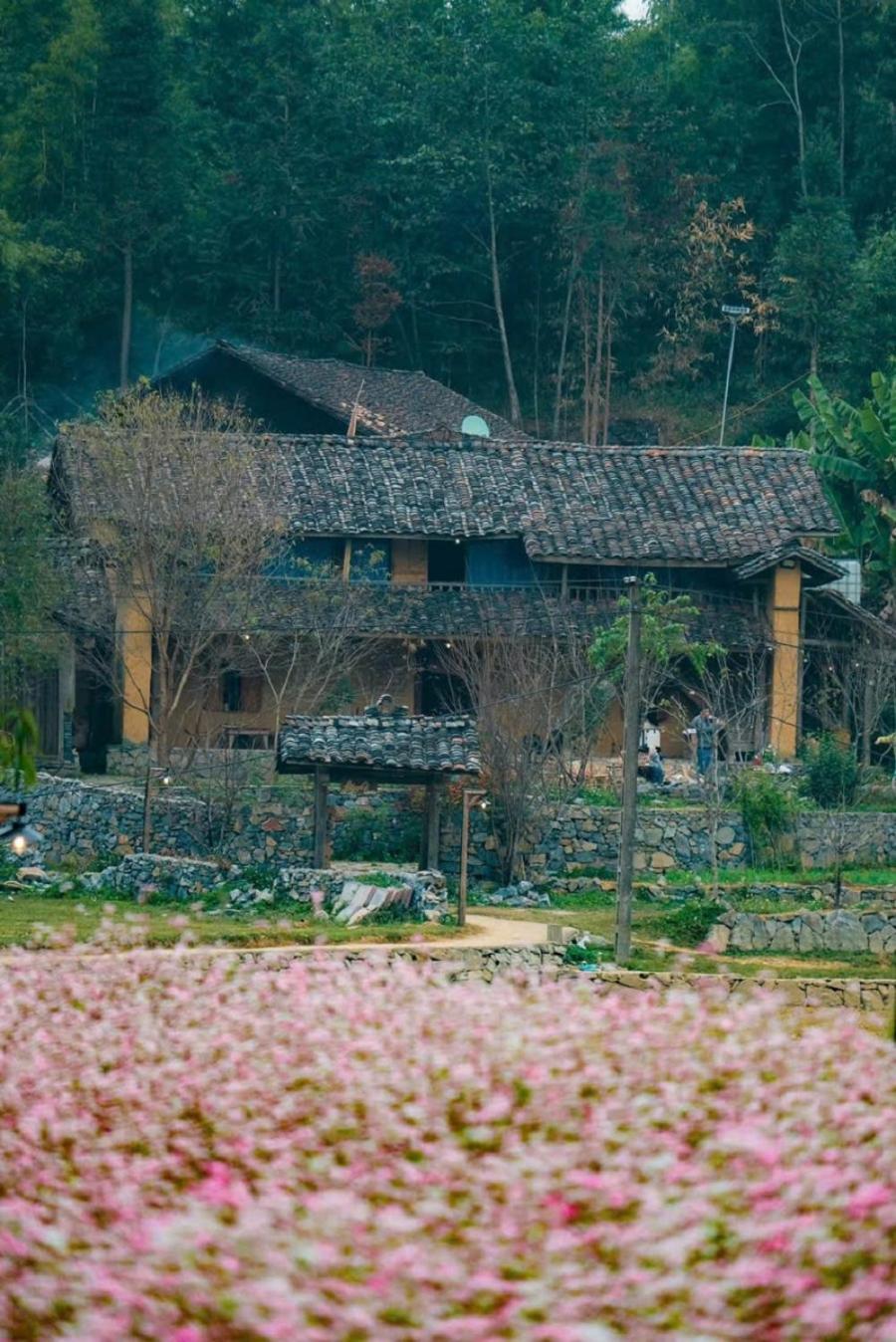 Voi Meo Vac Hostel & Breakfast Dış mekan fotoğraf